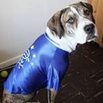 Profile Picture of Terry WP Workman (@windowparts) on Instagram