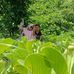 Profile Picture of Amy Saputri Amy (@amysaputri.amy.5) on Facebook