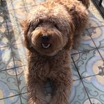 Profile Picture of Winnie Matthews (@winnie_the_pooh_matthews) on Instagram