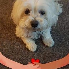 Profile Picture of Trena Herrod (@trena.herrod) on Facebook