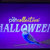 Profile Picture of Nicholas Suarez (@nicholas-suarez-16) on Quora