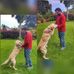 Profile Picture of Rajiv Iyer (Ram) (@rajiv.iyer) on Facebook
