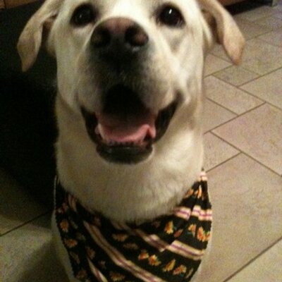 Profile Picture of James Hungerford (@JamesHungy) on Twitter