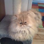Profile Picture of Michael Hrovat (@mike_hrovat) on Instagram