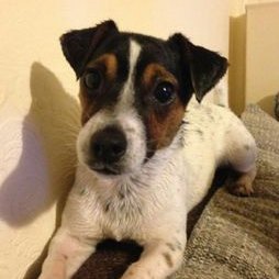 Scott Peach - Twitter Profile Picture of Scott Peach (@PeachNCFC) on Twitter