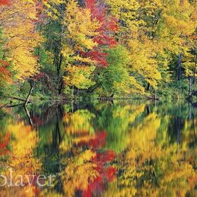 Profile Picture of Lori Pichette Sorel (@lsorel) on Pinterest