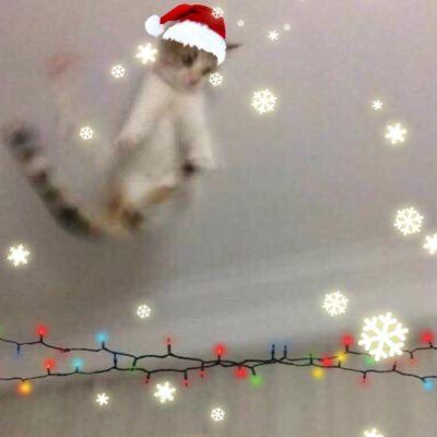 Profile Picture of Bilinç çakışı Tekniği (@huzunpartikulu) on Twitter