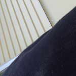 Profile Picture of Adrian Bradshaw (@adrian_useless) on Instagram