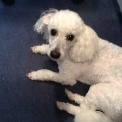 Profile Picture of Maureen Pearce (@Mystic_jaguar) on Twitter