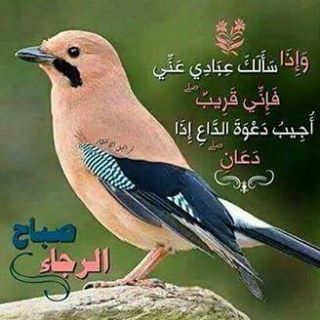 Profile Picture of Barich Bara (@Barich-Bara) on Facebook