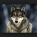 Profile Picture of David Kupka (@david.kupka.148) on Facebook