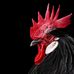 Profile Picture of Satyawadi (@satyawadi.satyawadi.52) on Facebook