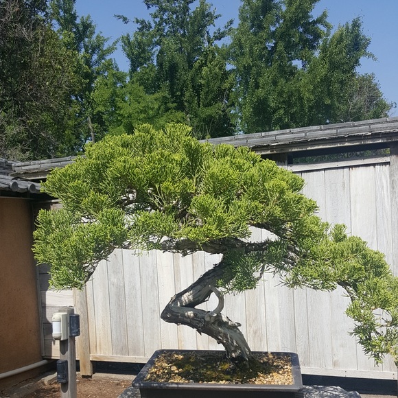 Profile Picture of Gavin Weislow (@gavinweislow) on Poshmark