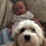 Profile Picture of Antony Bennett (@holmesy_666) on Instagram