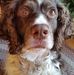 Profile Picture of Nancy Hass (@nancy.hass.50) on Facebook
