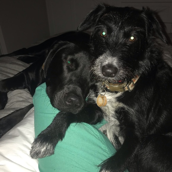 Megan Dreveskracht - Poshmark Profile Picture of Megan Dreveskracht (@drmegan) on Poshmark