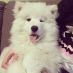 Profile Picture of Kevin Situmorang (@kevin.situmorang) on Instagram