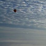 Michael Goemans - Instagram Profile Picture of Michael Goemans (@michaelgoemans) on Instagram