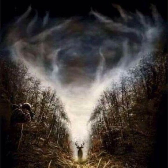 Profile Picture of Jason Harwell (@jason_harwell) on Poshmark