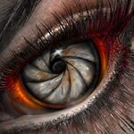 Profile Picture of Dennis de Vries (@devries_norden) on Instagram