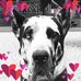 Profile Picture of Guy Belair (@guy.belair.1426) on Facebook