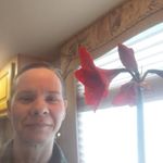 Profile Picture of Gorgeous View Gardens (@angela.thatcher.14) on Instagram