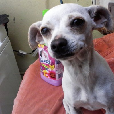 Profile Picture of Nancy Ovando Feria (@nanzys4454) on Twitter