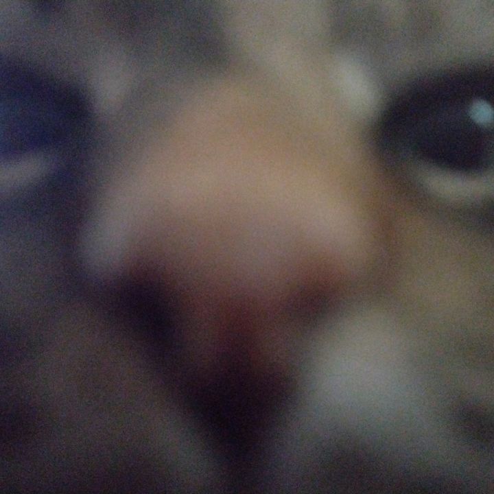 Profile Picture of William Hamlet (@den_coola_william) on Tiktok