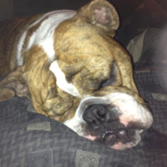 Profile Picture of Autumn Shrum (@aleigh79) on Poshmark