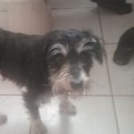 Profile Picture of Adam Niehaus (@adam.niehaus.9) on Instagram