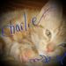 Profile Picture of Carlotta Wright (@carlottamosley65) on Pinterest