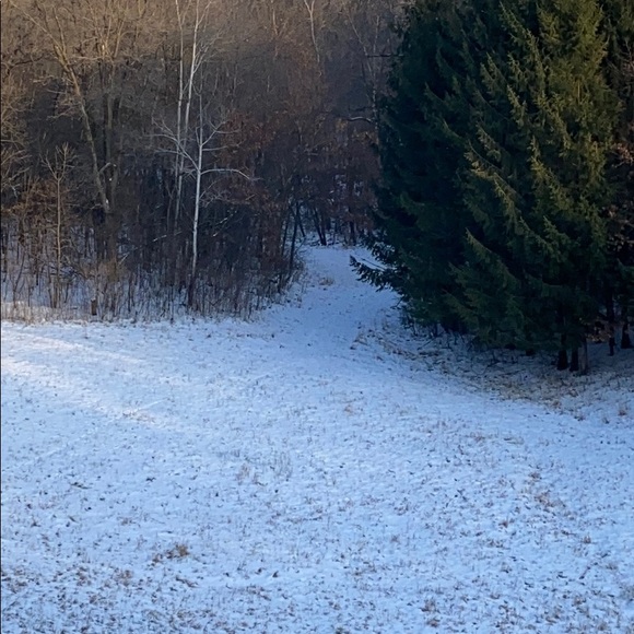 Profile Picture of Tj Schraufnagel (@tjschraufnagel) on Poshmark