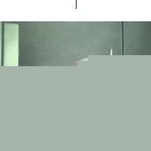 Profile Picture of Sebastian Lombardi (@391048783) on Myspace