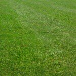 Profile Picture of Patrick Selby (@pselbie) on Instagram