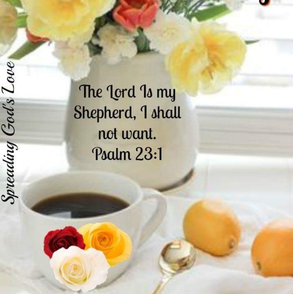 Profile Picture of Kim Cheatham (@111kmc) on Poshmark