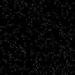 Profile Picture of DavidOPKY (@davidopky) on Tiktok