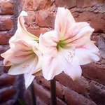 Profile Picture of Rocio Razo (@rocio.razo.792) on Instagram