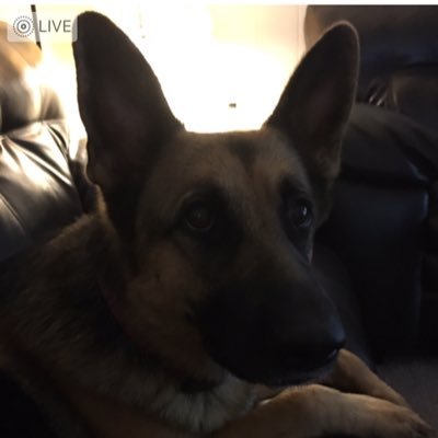 Profile Picture of Jesse Remaley (@JesseR7777) on Twitter