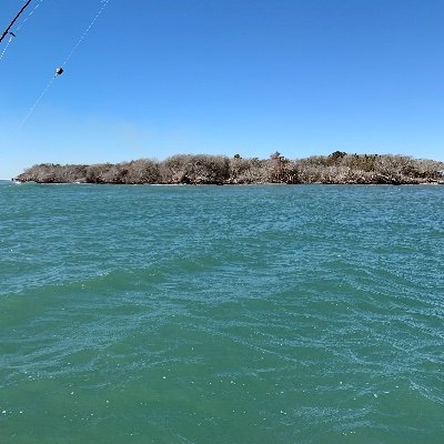 Profile Picture of Jo Teel (@JoTeel3) on Twitter