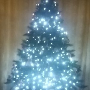 Profile Picture of Adam Gormley (@adambboy5) on Twitter