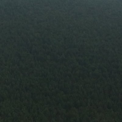 Profile Picture of Justin McTaggart (@JustinMcTaggar2) on Twitter