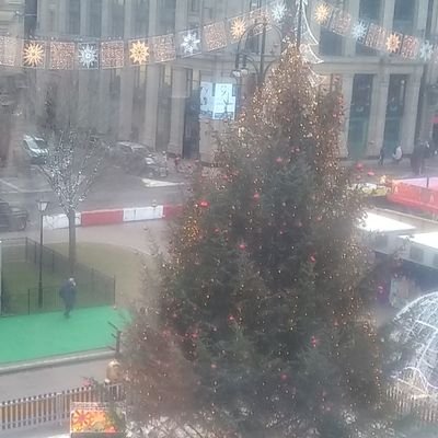 Profile Picture of Margaret McDermott (@Margaret6900070) on Twitter