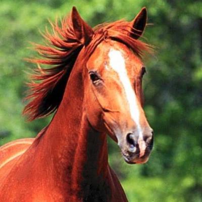 Profile Picture of Alan Michaels (@AlanMichaels4) on Twitter