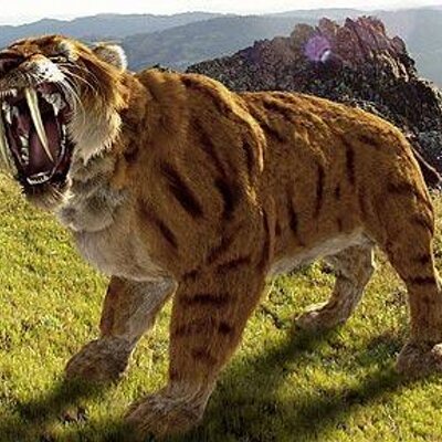 Profile Picture of SUYASH PANDEY (@SUYASHPANDEY4) on Twitter