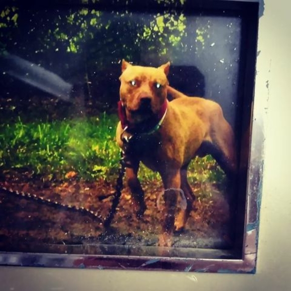 Profile Picture of Christopher Burch (@chrisburch1010) on Poshmark