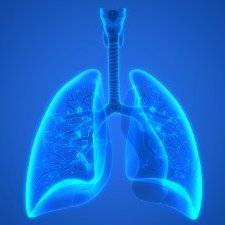 Profile Picture of Xin Pan (@Xin15195402) on Twitter