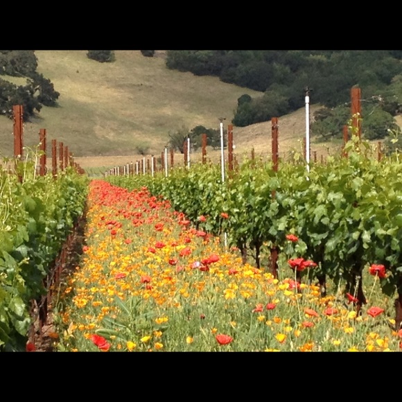 Profile Picture of Asia Jagdfeld (@asia_jagdfeld) on Poshmark