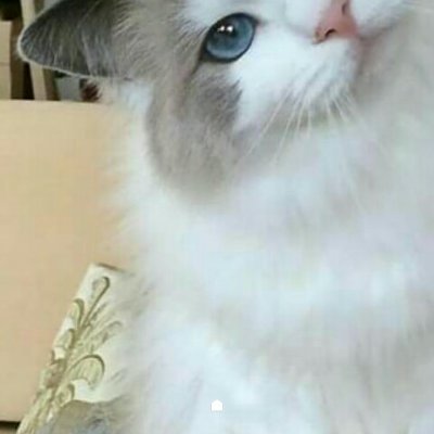 Profile Picture of Jovy May Frejas (@FrejasMay) on Twitter