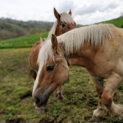 Profile Picture of Marc Castelló (@Marcaste23) on Twitter