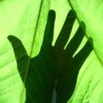 Profile Picture of Mario Torres (@mario_torres25) on Instagram